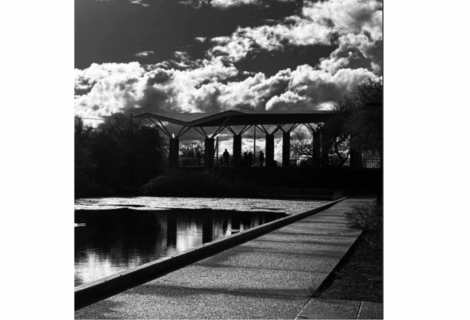 Un día Sagrado con Tonalli